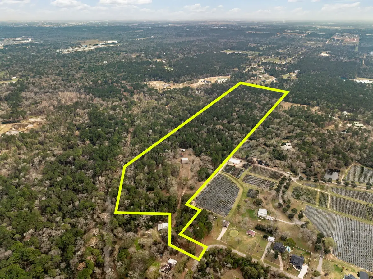 15547 Knotty Oaks Trail, Magnolia, TX 77355 - #1