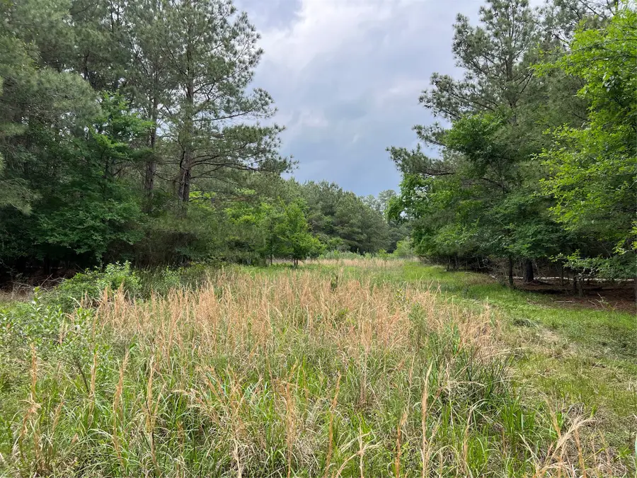 Tract 3 English Road, Bedias, TX 77831 - #2