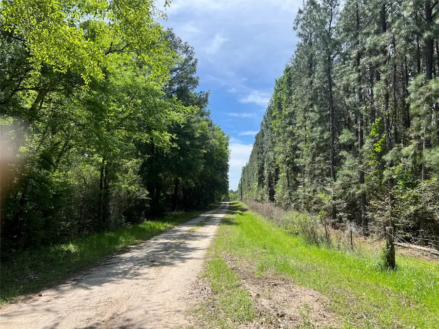 Tract 3 English Road, Bedias, TX 77831 - #3