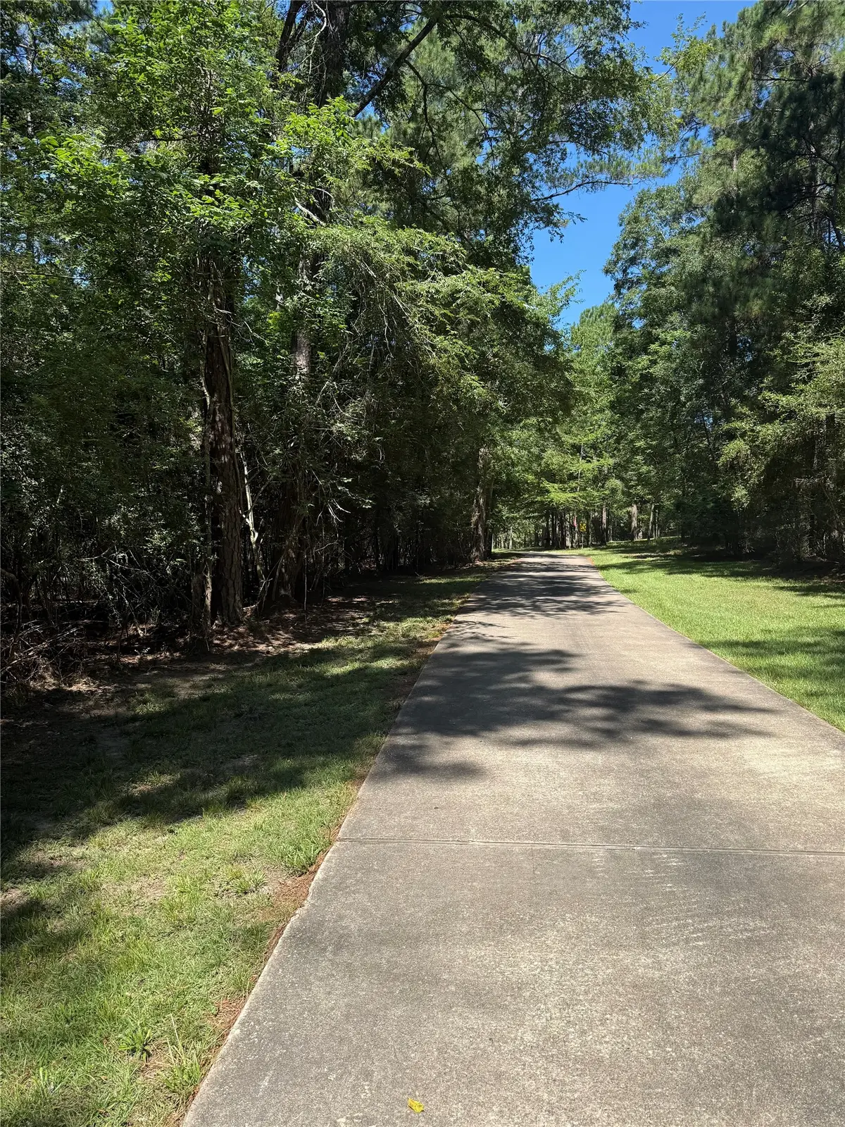N Fm 350 Pebble Creek, Livingston, TX 77351 - #1