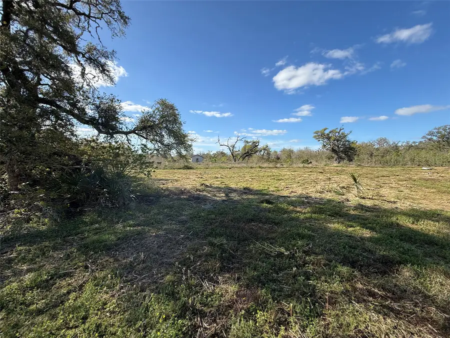 0 County Road 319, Brazoria, TX 77422 - #3