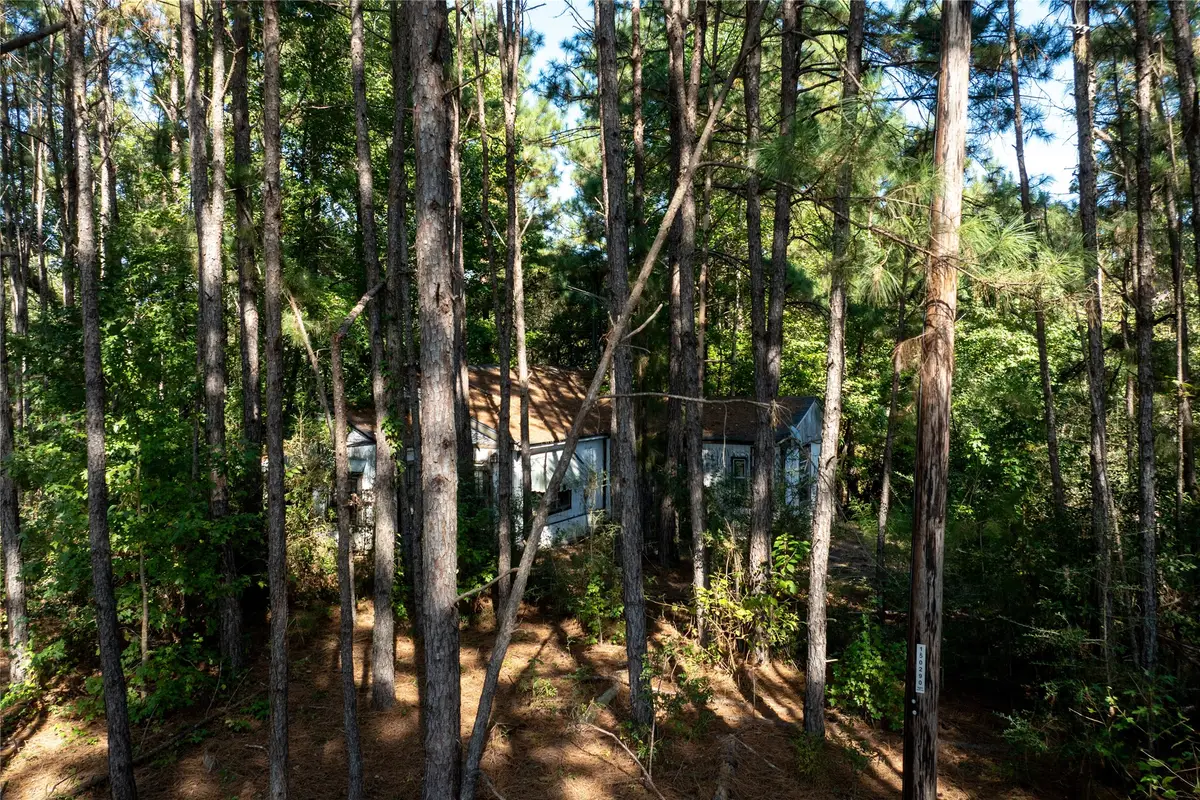 TBD County Road 4090, Lovelady, TX 75851 - Image #1