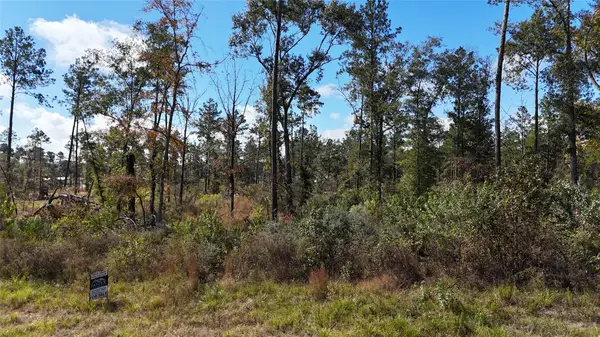 TBD 7 Reveille Road, Livingston, TX 77351