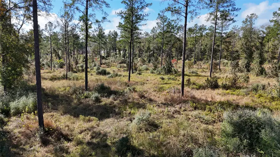 TBD 7 Reveille Road, Livingston, TX 77351 - #3
