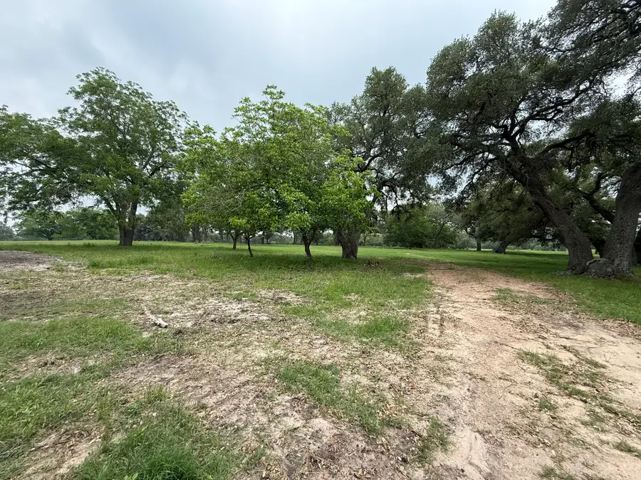 5719 Farm To Market 2238, Schulenburg, TX 78956 - #2