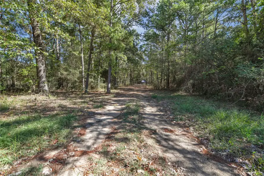 695 Piney Trail, Livingston, TX 77351 - #2