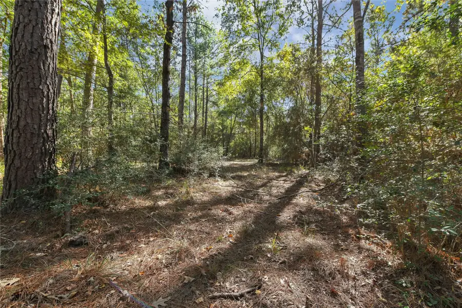 695 Piney Trail, Livingston, TX 77351 - #3