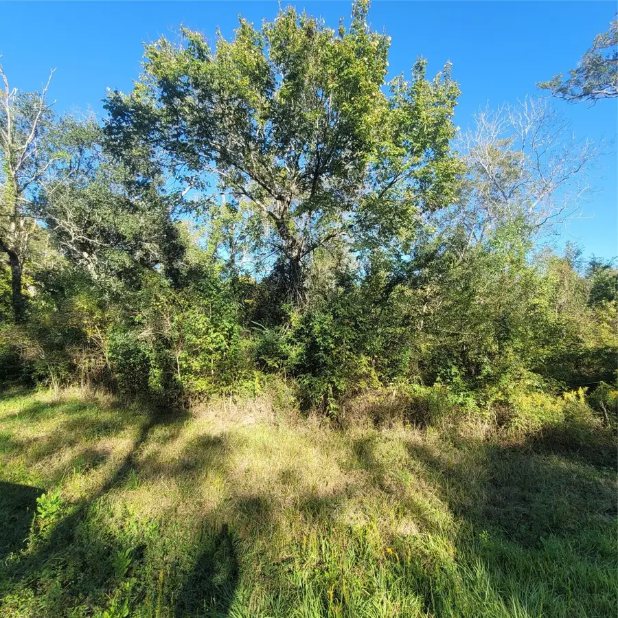 000 Fm-562, Anahuac, TX 77514 - Image #3