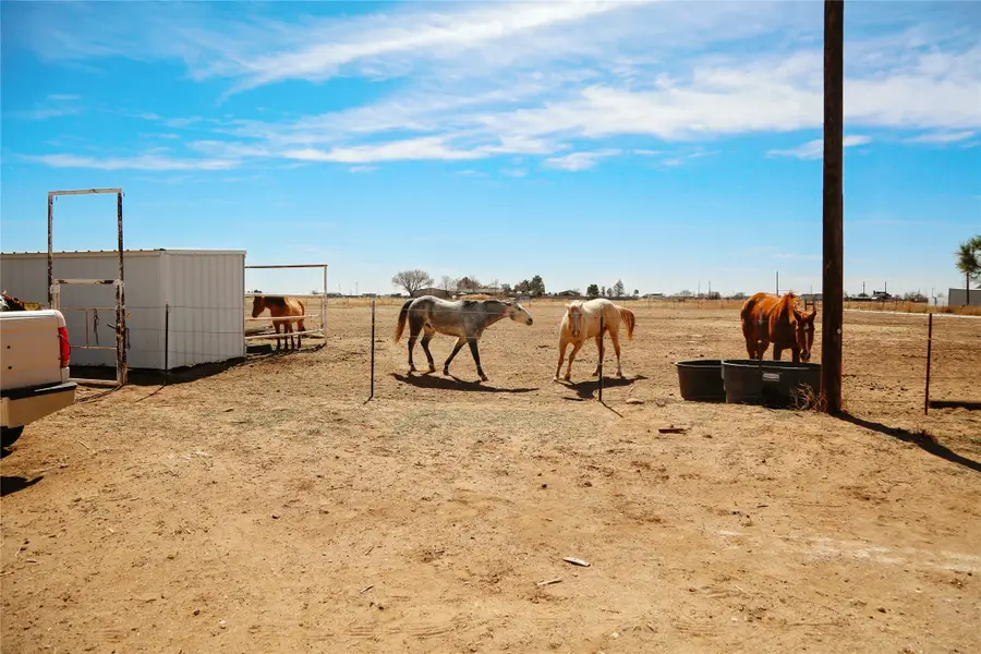 11514 County Road 6360, Shallowater, TX 79363 - #3