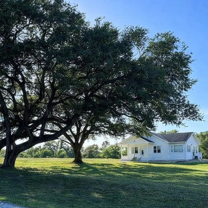 248 County Road 378, Hallettsville, TX 77964 - #1