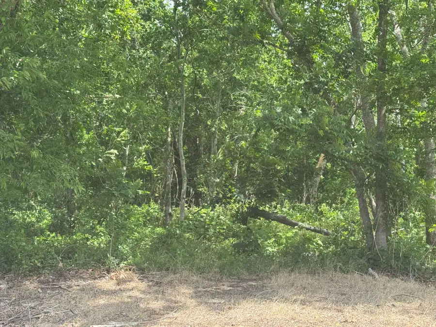 214 County Road 230, Wharton, TX 77488 - #2