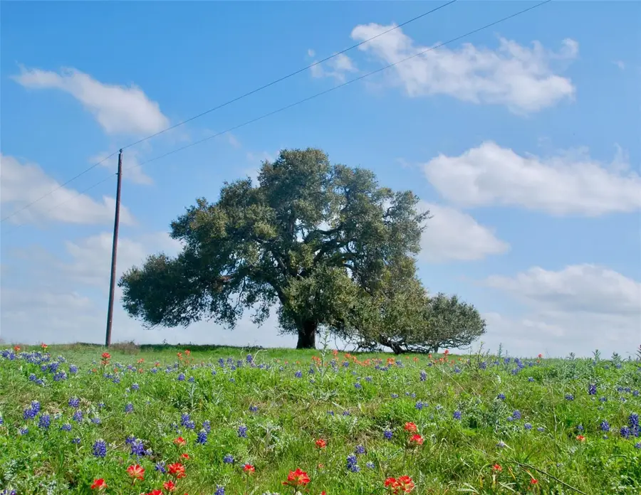 450 County Road 217c, Schulenburg, TX 78956 - Image #3