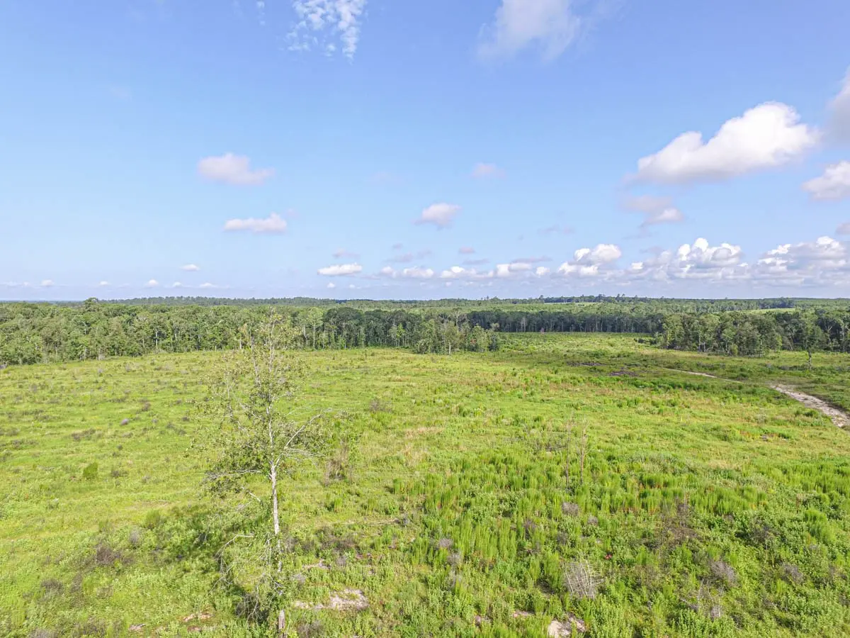 TBD Sandydale, Livingston, TX 77351 - #1