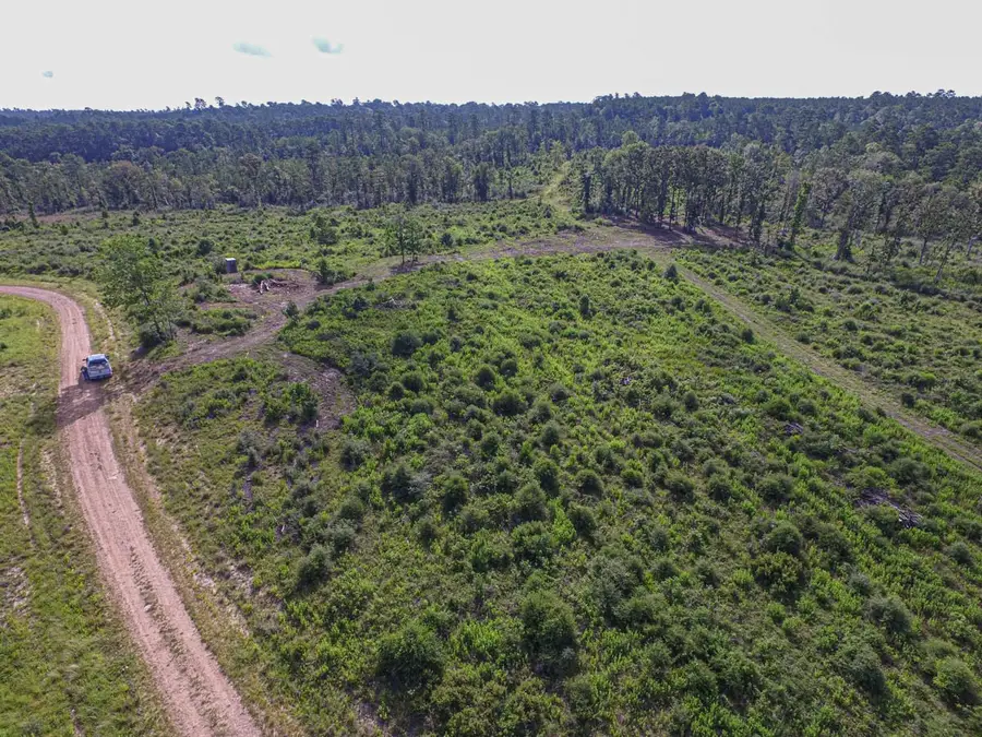 TBD Sandydale, Livingston, TX 77351 - #2