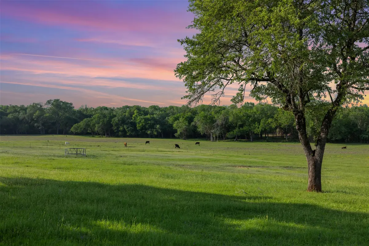 3004 County Road 310, Caldwell, TX 77836 - #1