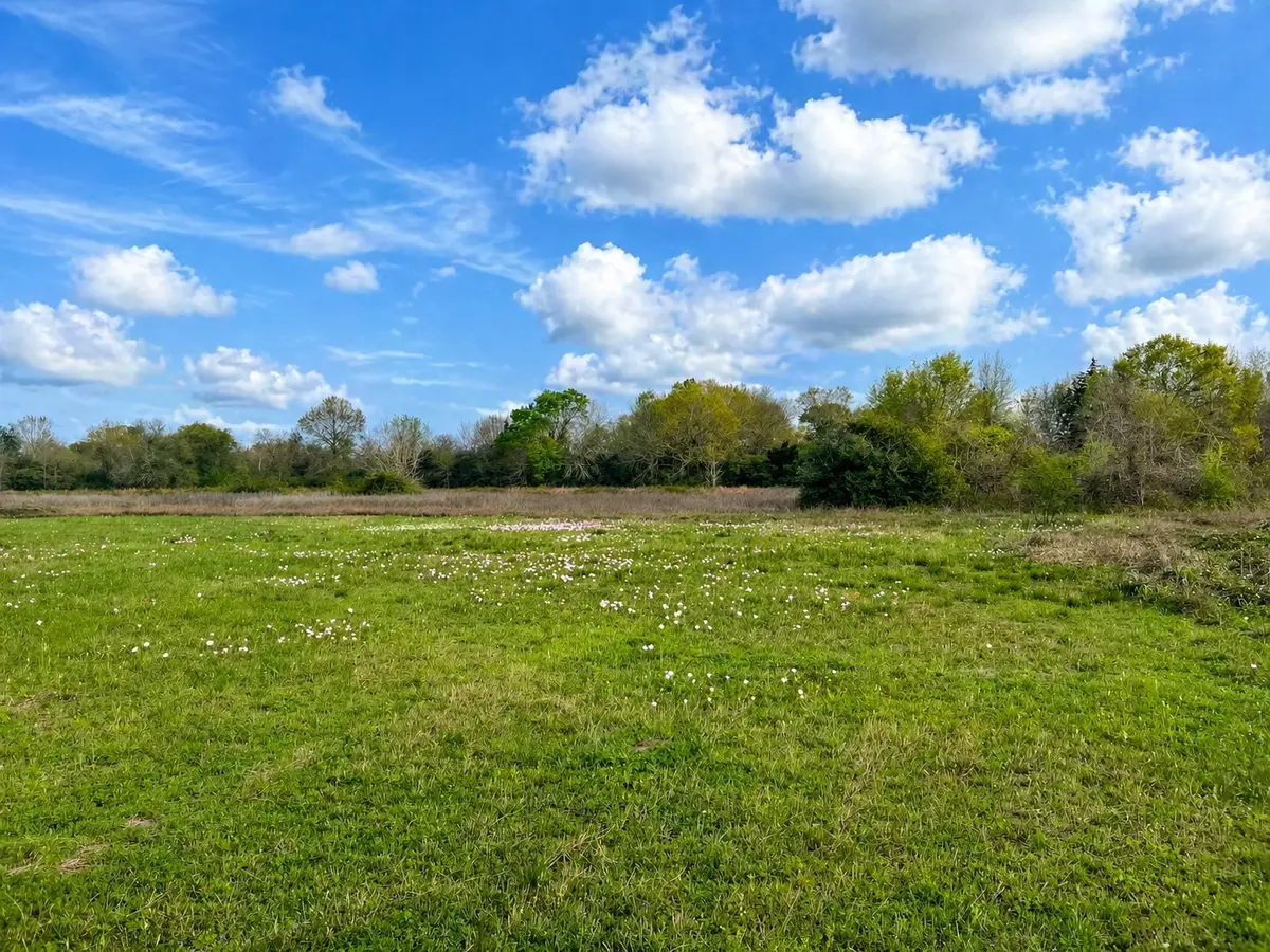 TBD W Fm 1161, Wharton, TX 77488 - #1