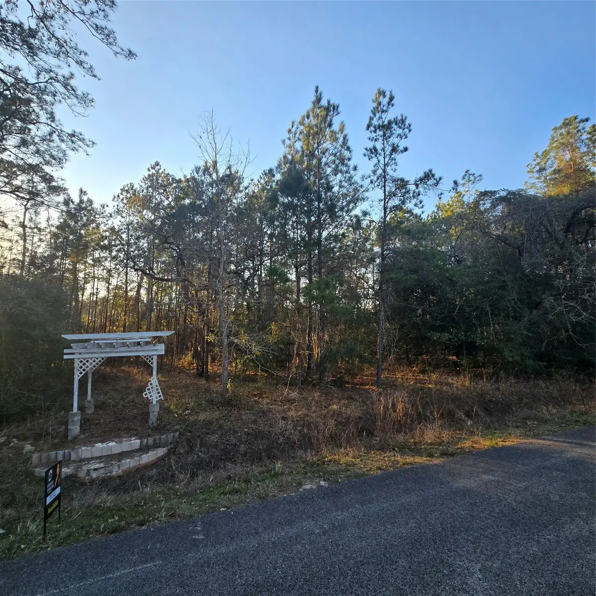 20135 Belleau Wood Drive, Houston, TX 77338 - #1