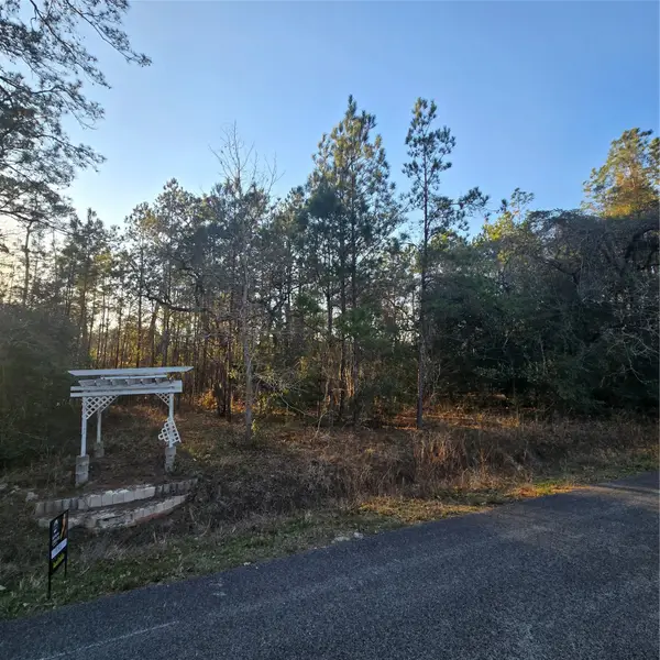 20135 Belleau Wood Drive, Houston, TX 77338