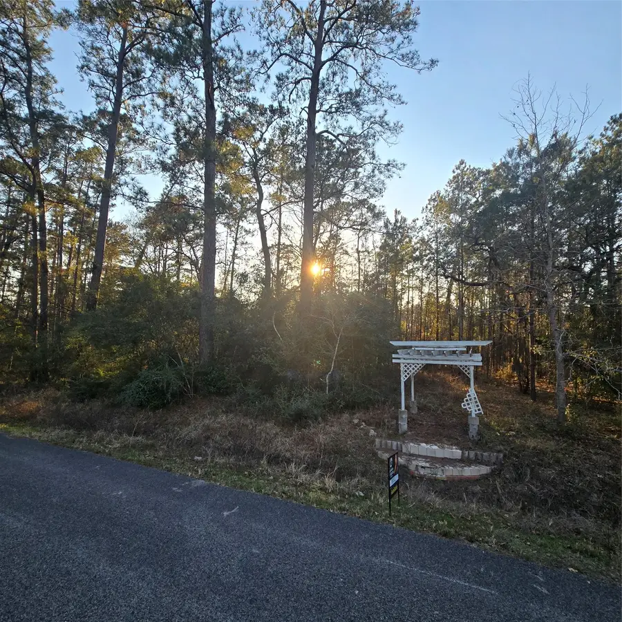 20135 Belleau Wood Drive, Houston, TX 77338 - #2