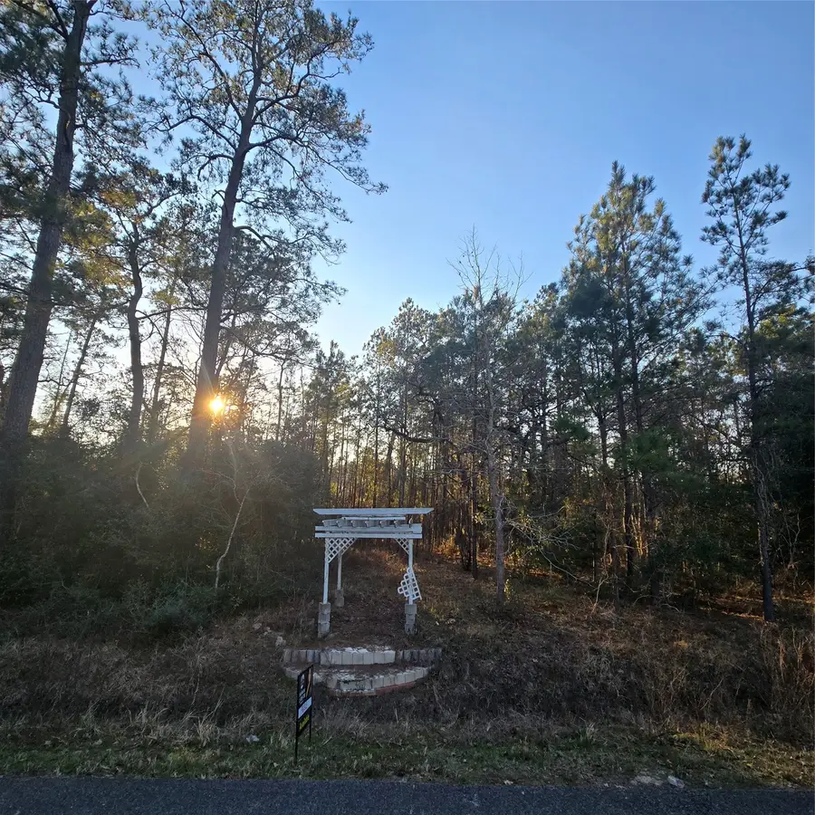 20135 Belleau Wood Drive, Houston, TX 77338 - #3