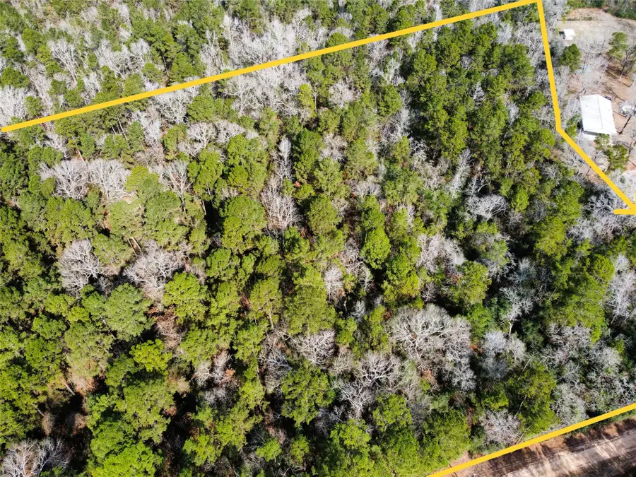 0 Old Little Road, Conroe, TX 77303 - #3