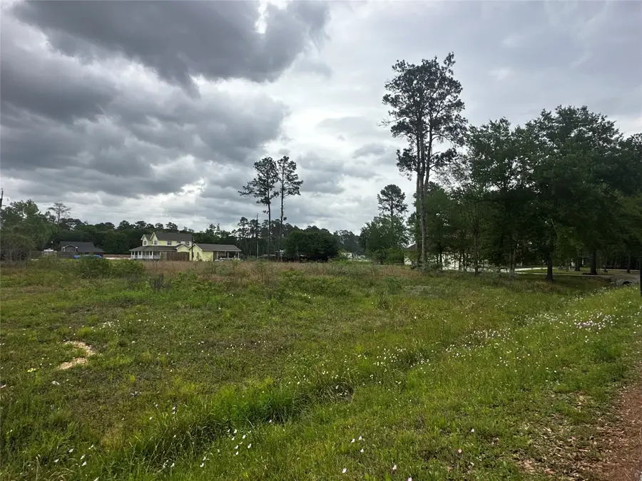 0 Indian Trail, Tomball, TX 77375 - #2