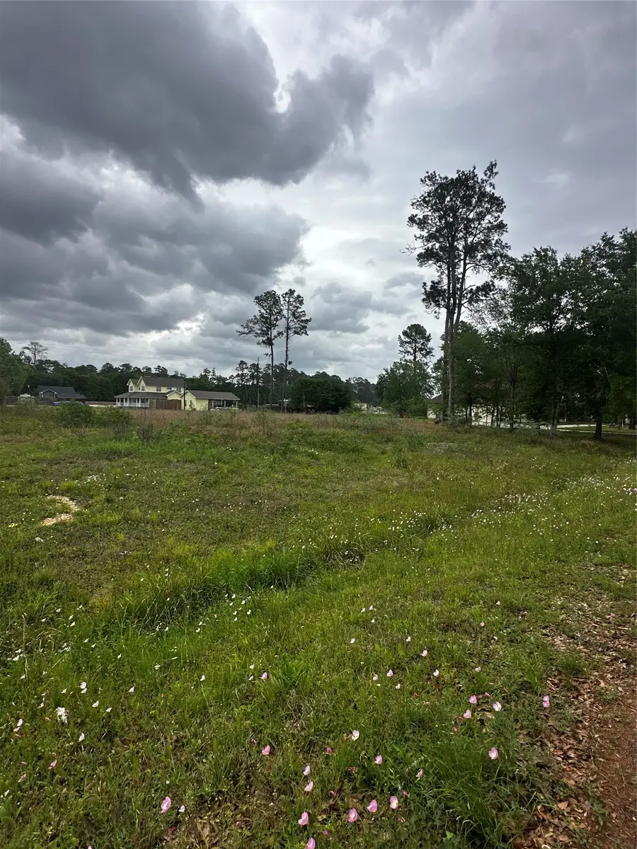 0 Indian Trail, Tomball, TX 77375 - #3