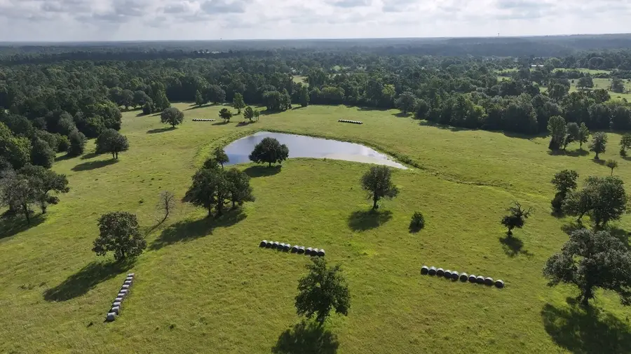 TBD Walker Ln Lane, Huntsville, TX 77320 - Image #3