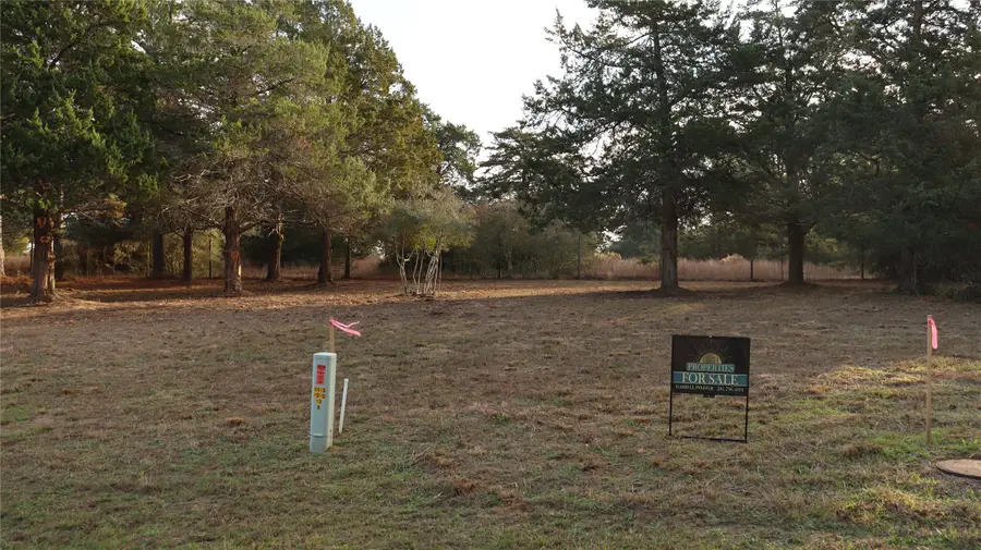 Lot 26 Doral Drive, New Ulm, TX 78950 - Image #2