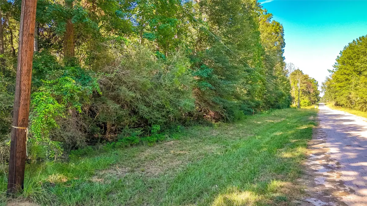 TBD 24 Timber Grove, Livingston, TX 77351 - #1