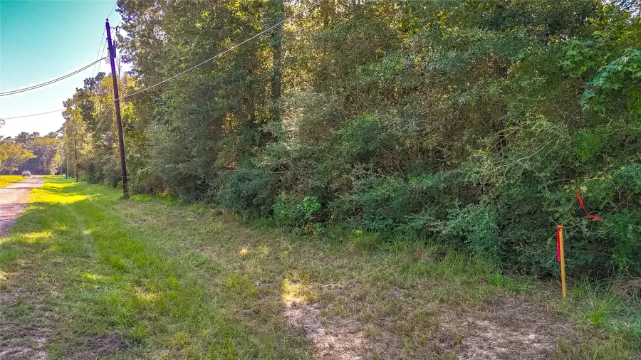 TBD 24 Timber Grove, Livingston, TX 77351 - #3