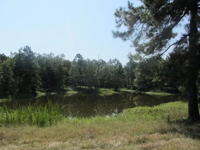 TBD Tx-19, Huntsville, TX 77320 - #2