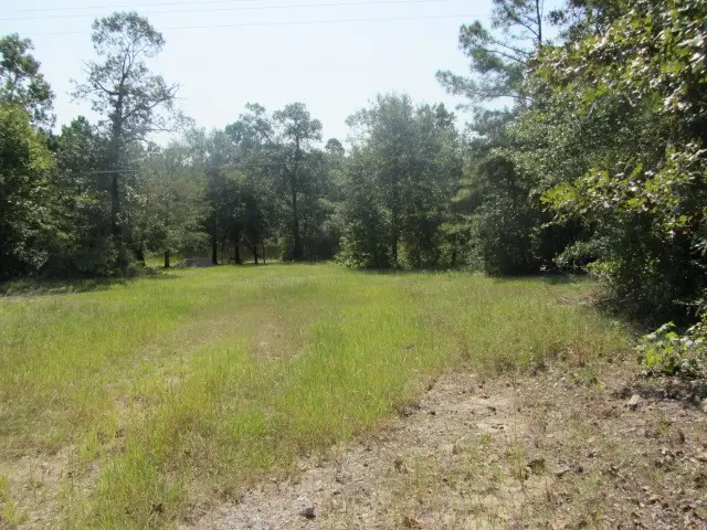 TBD Tx-19, Huntsville, TX 77320 - #3