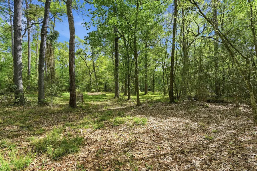 19909 Big Oak Drive, Montgomery, TX 77356 - #2