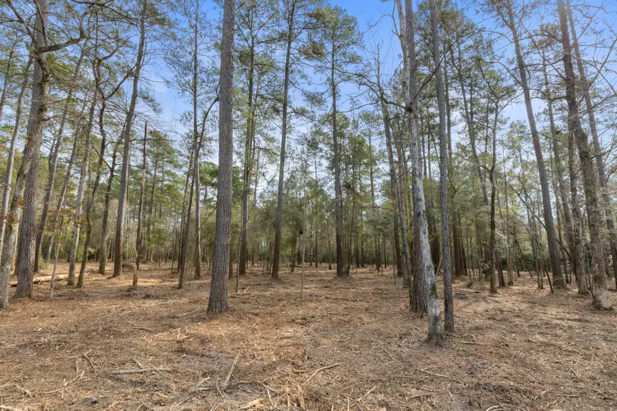 15880 Four Hills Road, Willis, TX 77378 - Image #2