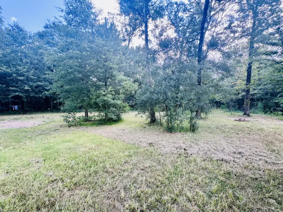 702 County Road 2339, Dayton, TX 77535 - #3