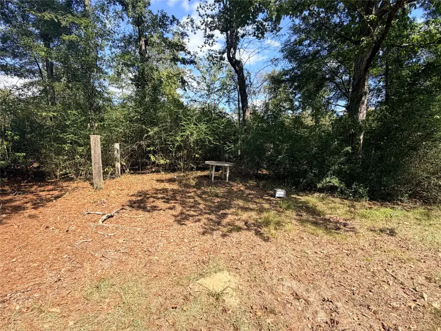 1506 Hopkins Drive, Jasper, TX 75951 - #3