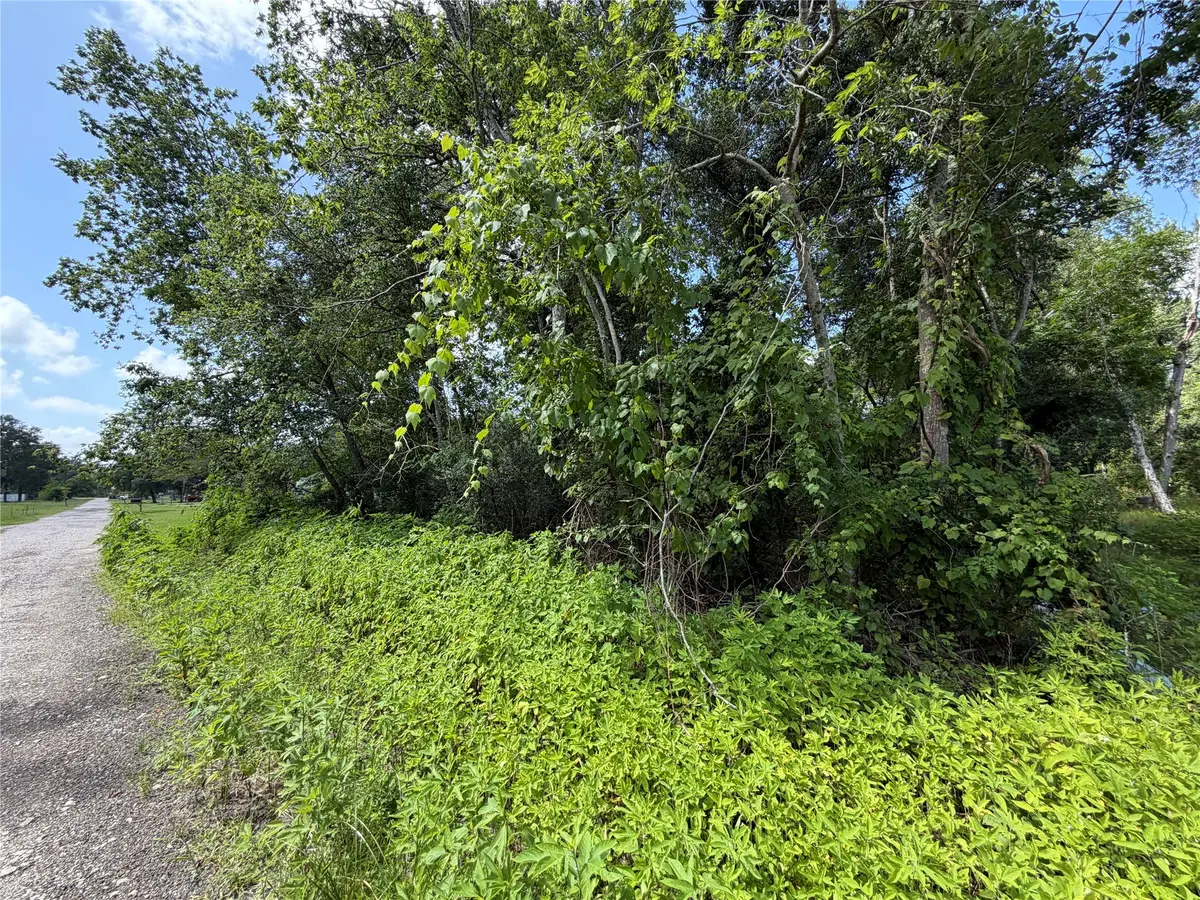 Lot 97 Lost Forest Drive, Guy, TX 77444 - #1