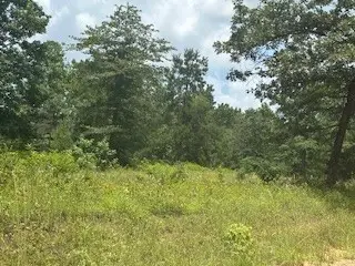 TBD Lilley Yeager Loop N, Shepherd Evergreen, TX 77328 - #2