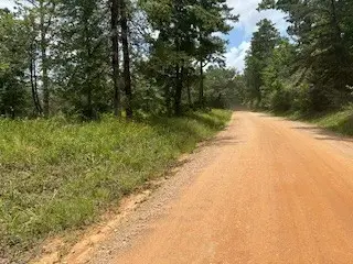 TBD Lilley Yeager Loop N, Shepherd Evergreen, TX 77328 - #3