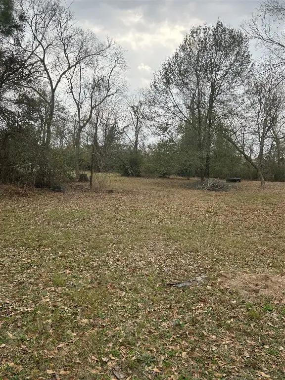 0 Pin Oak Drive, Highlands, TX 77562 - #3