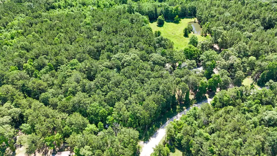 00 Grey Fox Ln, Brookeland, TX 75931 - Image #3