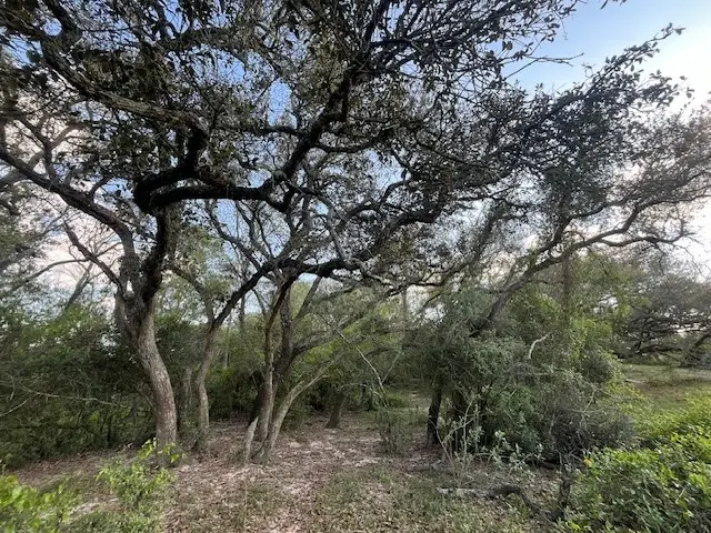 1600 County Road 121, Garwood, TX 77460 - #3