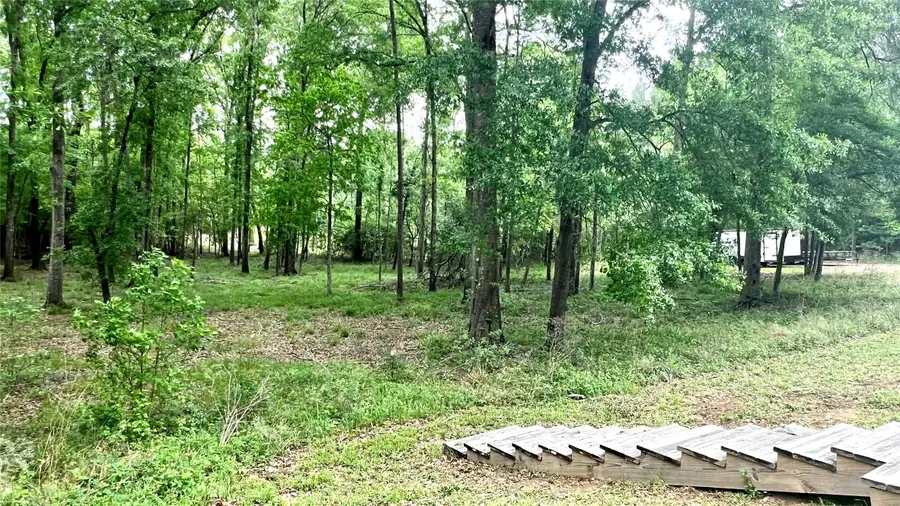 TBD Eastgate Park, Livingston, TX 77351 - #3