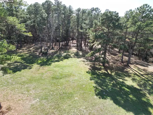 4542 Evergreen Forest Lane, Navasota, TX 77868