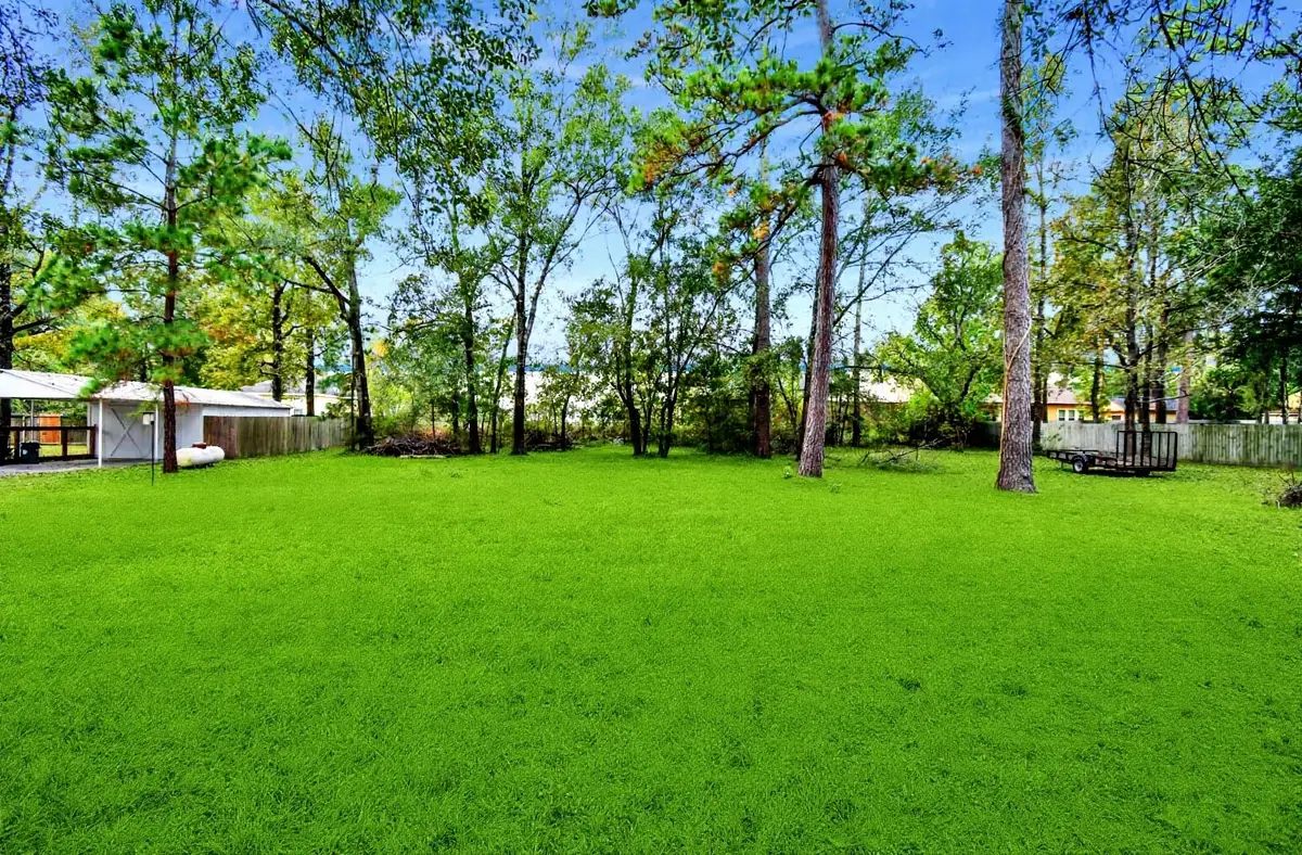10615 Twin Oak Drive, Conroe, TX 77385 - #1