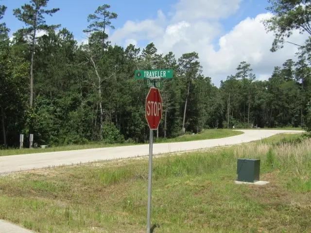 126 Traveler Trail, Willis, TX 77378 - #2