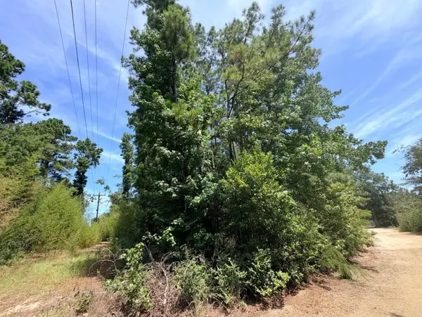 .44 AC Fm 3414, Jasper, TX 75951