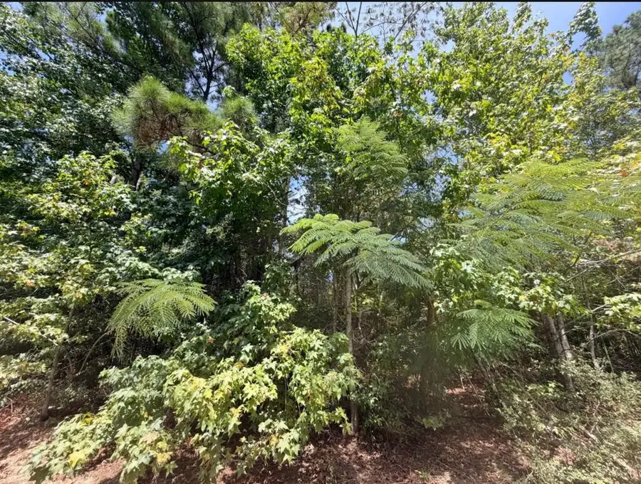 .44 AC Fm 3414, Jasper, TX 75951 - #2