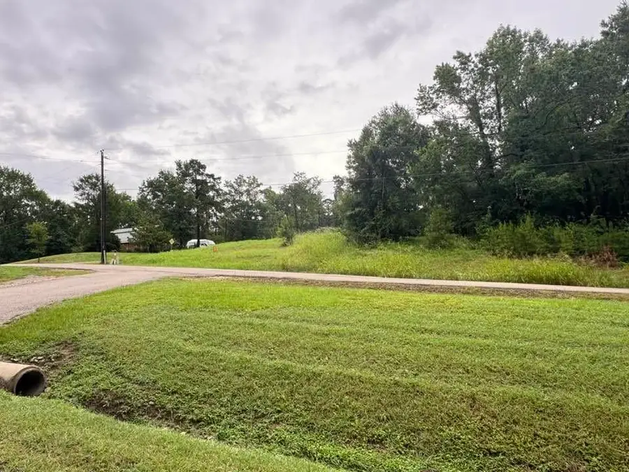 TBD Holiday Boulevard, Coldspring, TX 77331 - #2